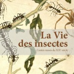 Insectes